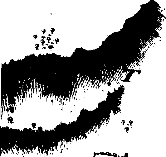 106/106140010001070_1.png
