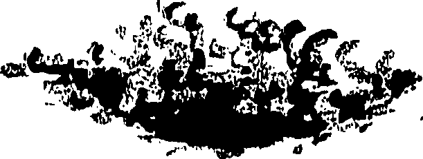 106/106290010000020_0.png