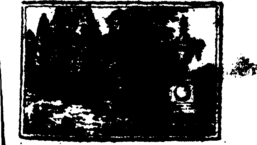 106/106310030000010_0.png