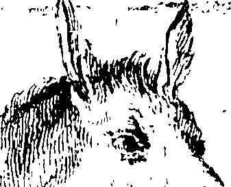 106/106320030100620_0.png