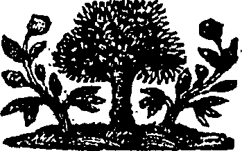 106/106320030102550_0.png