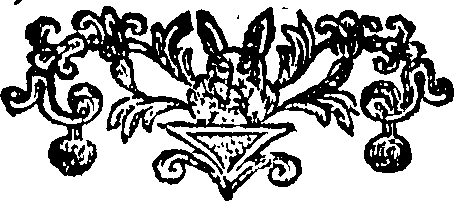 106/106320030200520_0.png