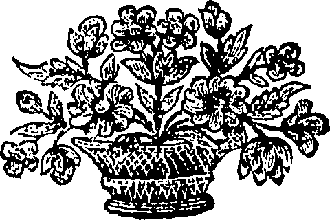 106/106380010000680_0.png