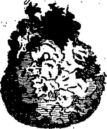 106/106390010202360_1.png