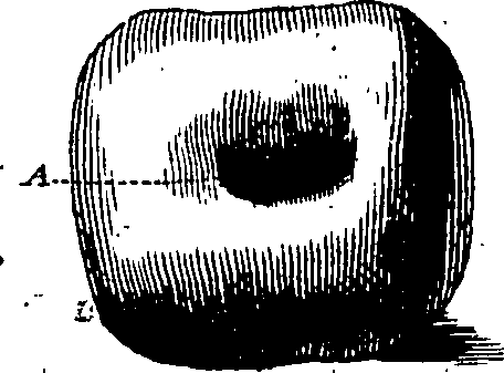 106/106390010203670_0.png