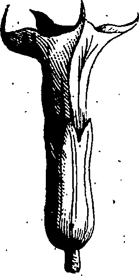 106/106390010204620_0.png