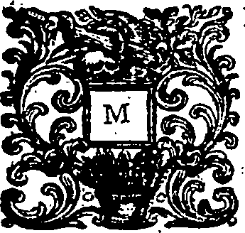 106/106390010303690_0.png