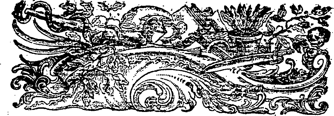 106/106390010305450_1.png