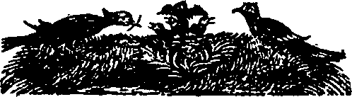 106/106510040000020_0.png