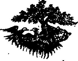 106/106510040000200_0.png