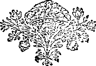 106/106800010000910_0.png