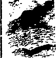 106/106940010000570_0.png
