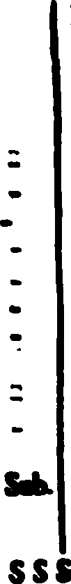 106/106950030001840_0.png