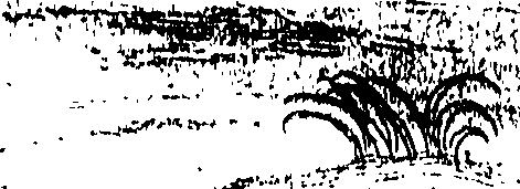 107/107100010200160_0.png