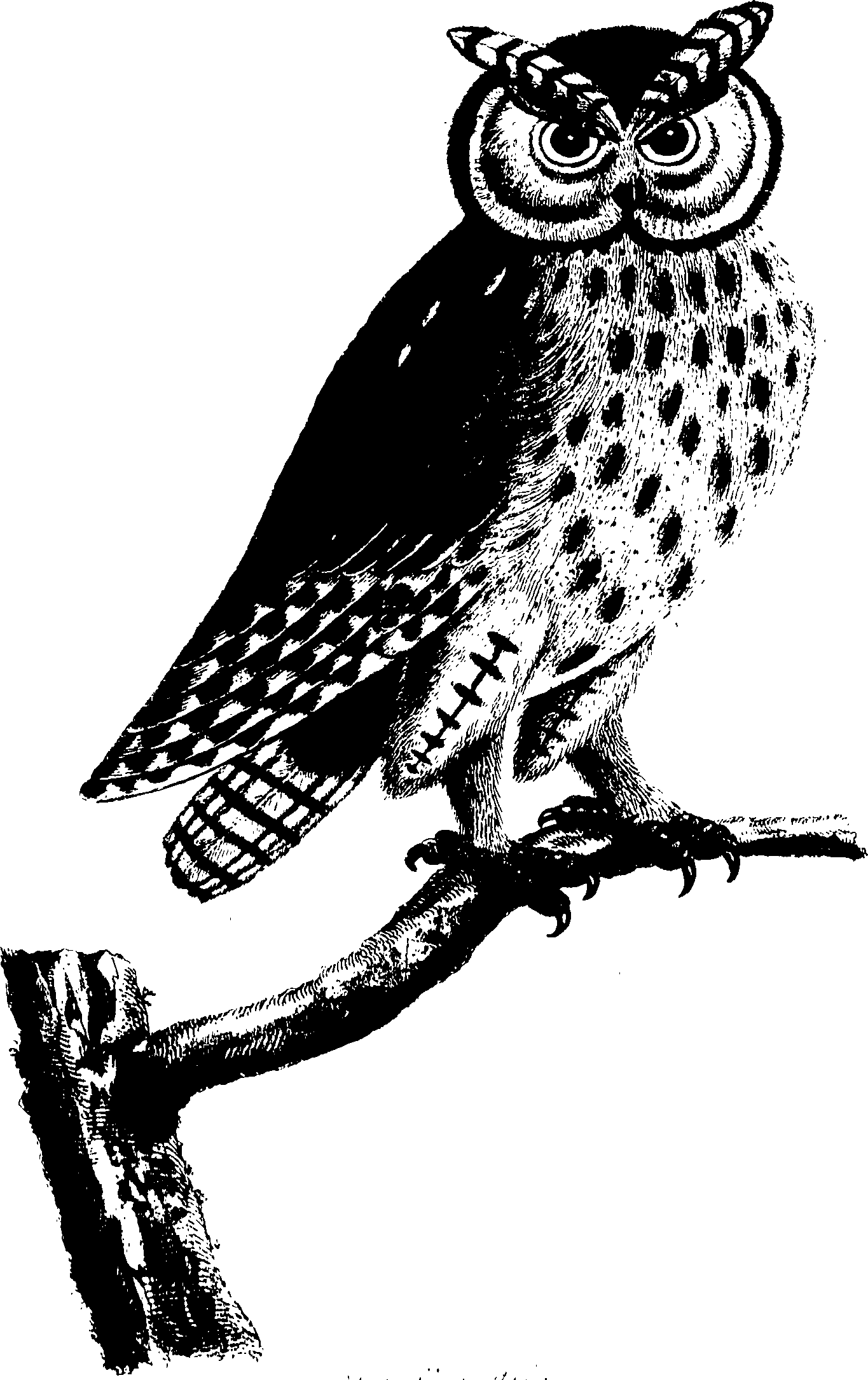 107/107100010200270_0.png