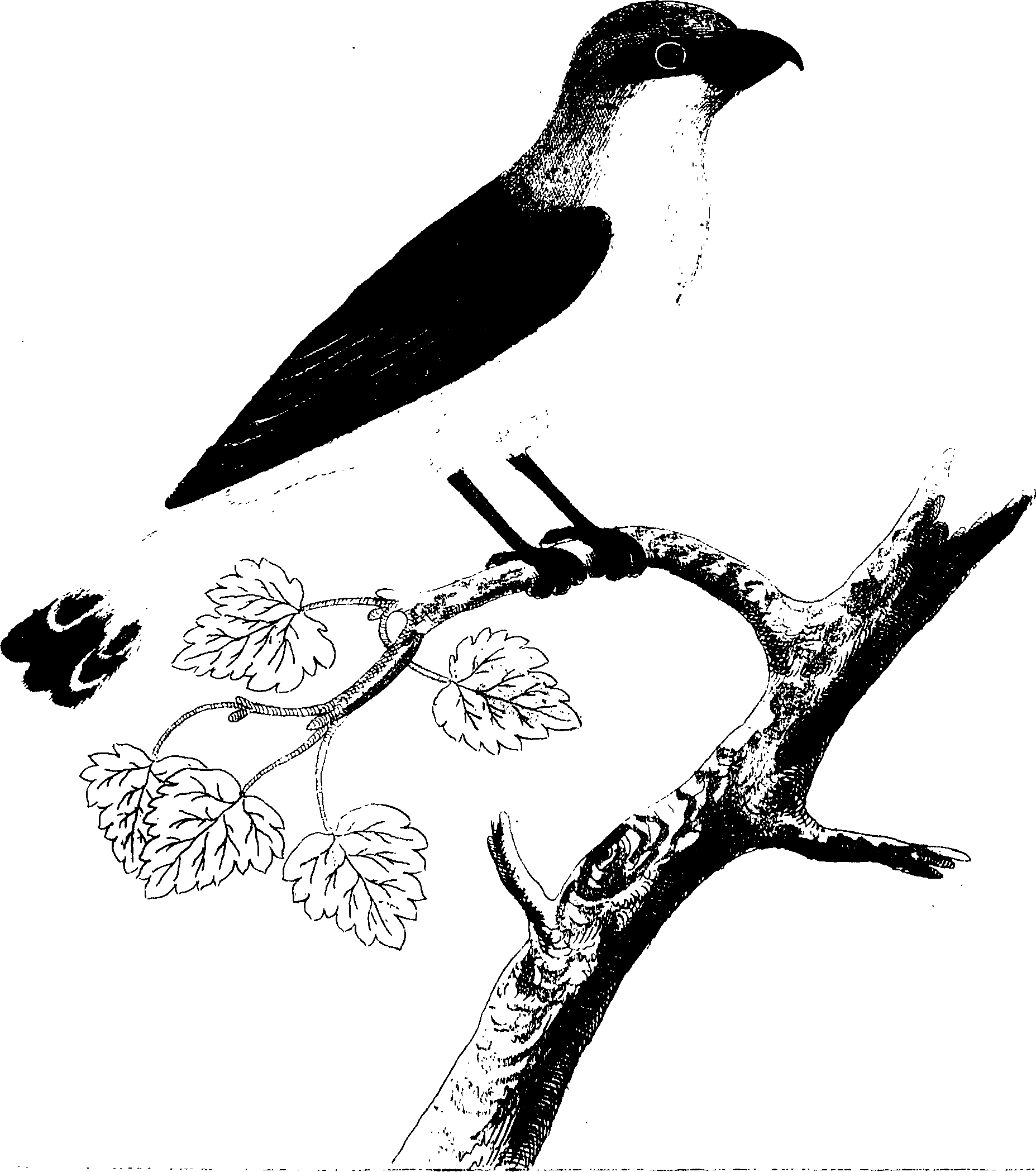 107/107100010200370_0.png