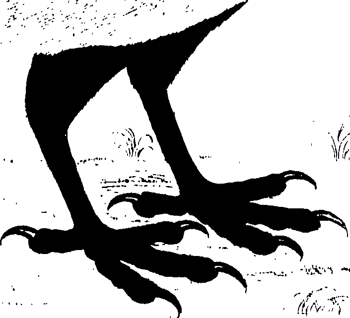 107/107100010200540_0.png