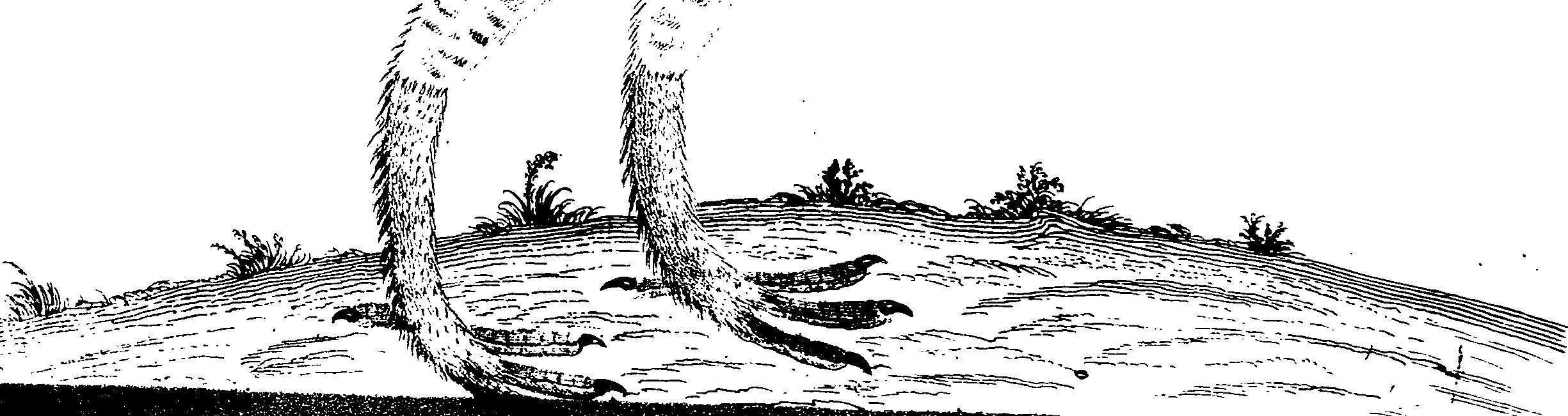 107/107100010200670_0.png