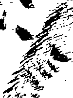 107/107100010200670_1.png