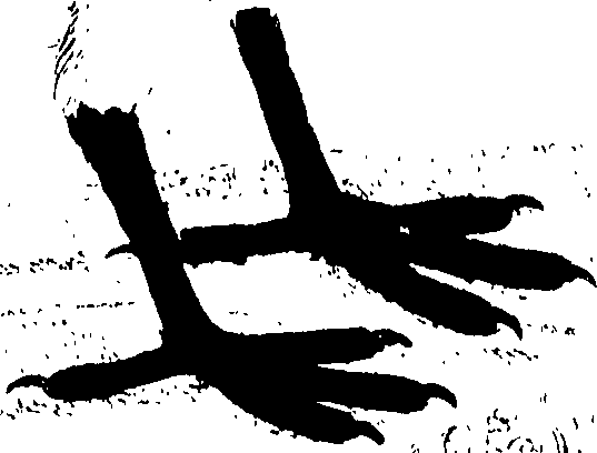 107/107100010200900_0.png