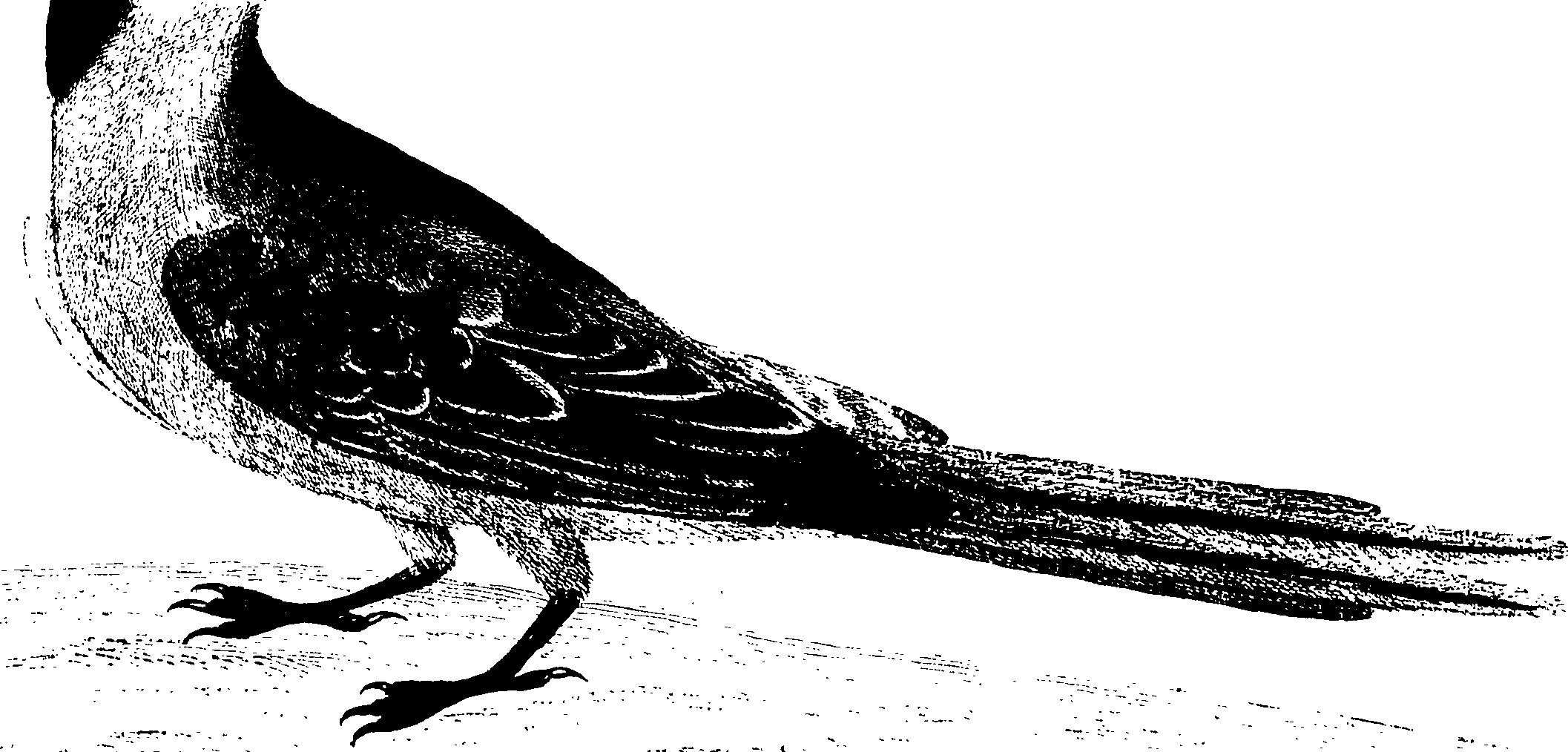 107/107100010200930_0.png