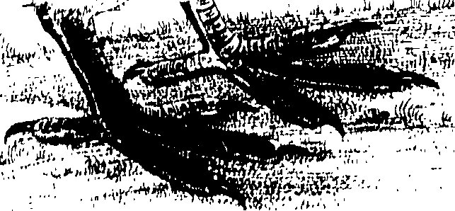 107/107100010200980_0.png