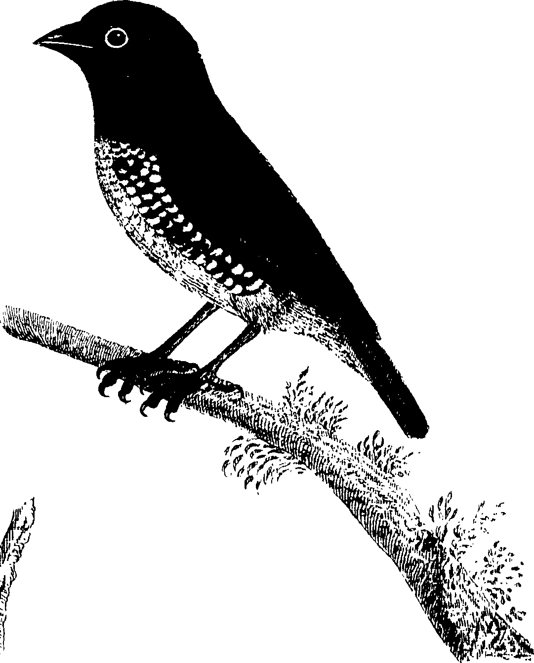 107/107100010201100_0.png