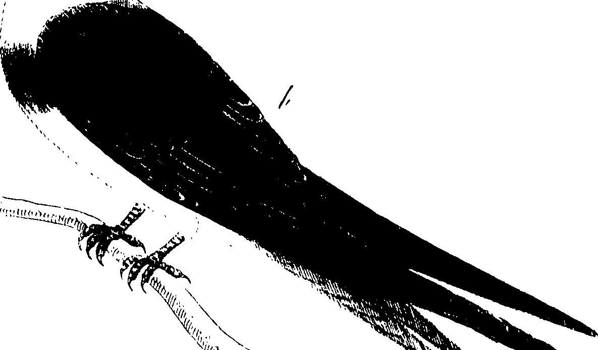 107/107100010201170_0.png