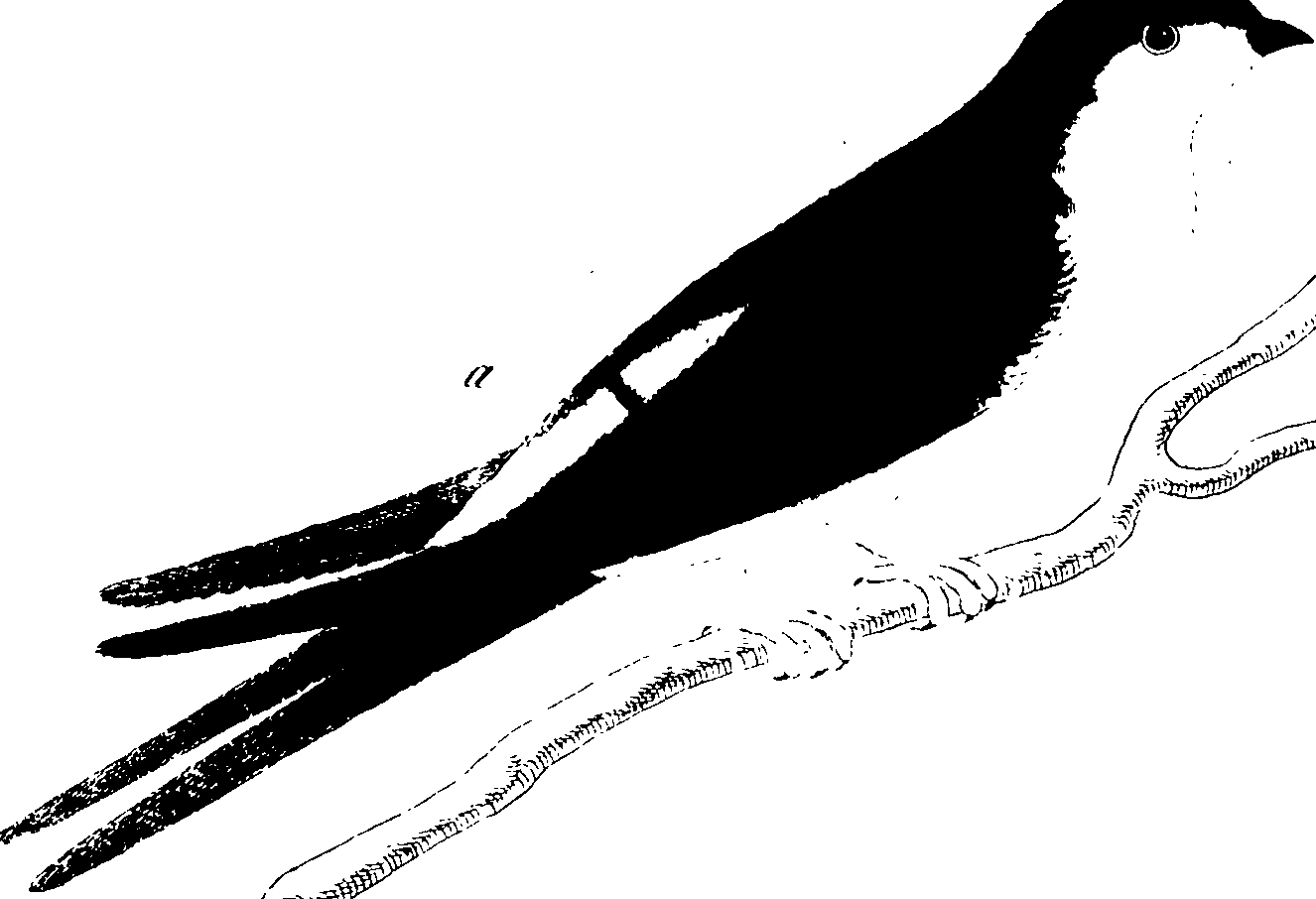 107/107100010201170_2.png