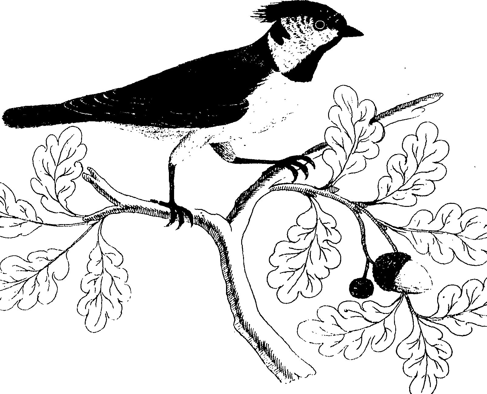 107/107100010201180_0.png