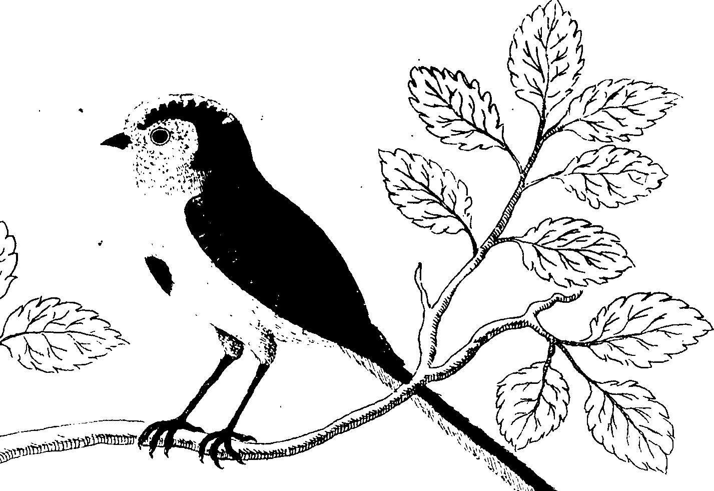 107/107100010201180_1.png