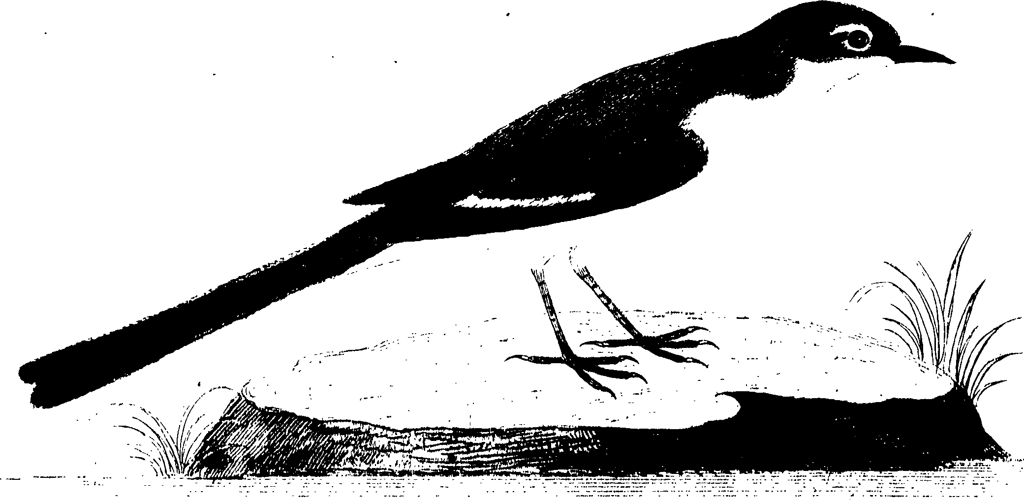 107/107100010201210_0.png
