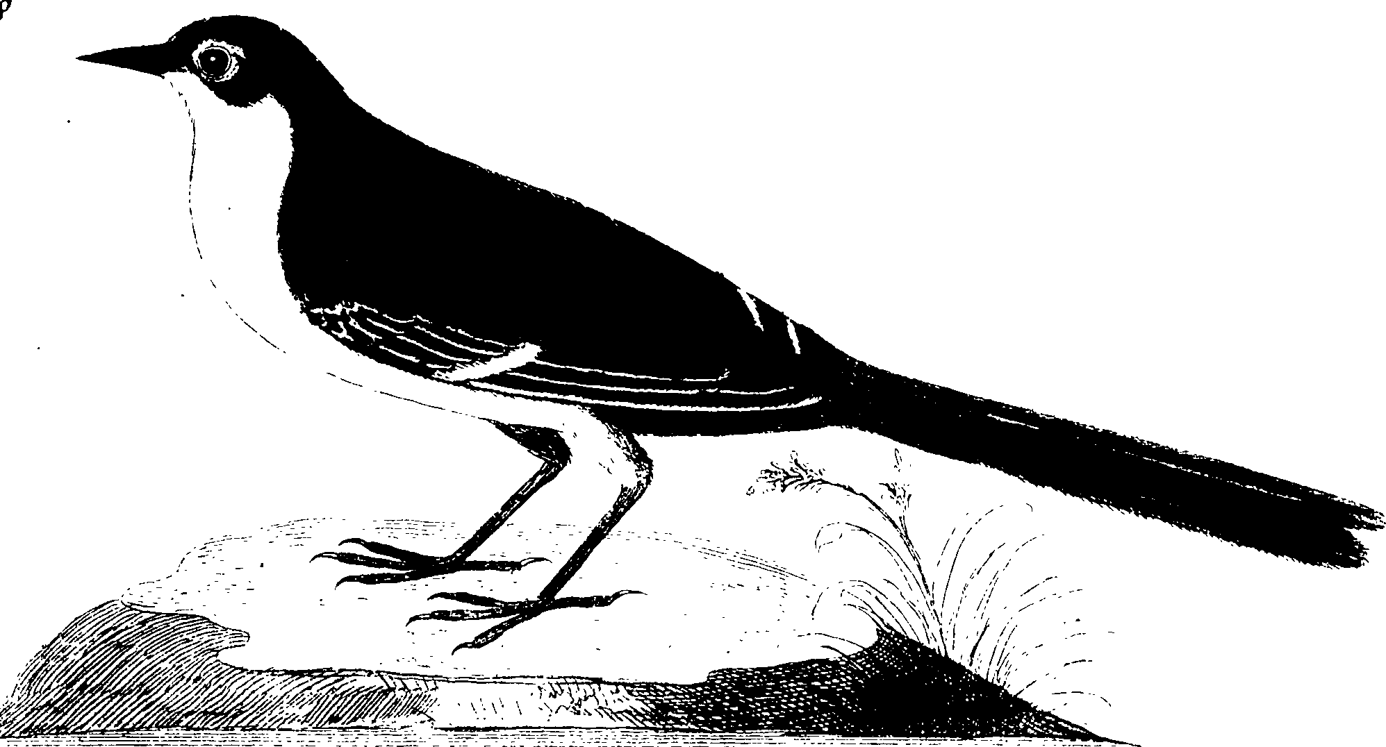 107/107100010201210_1.png