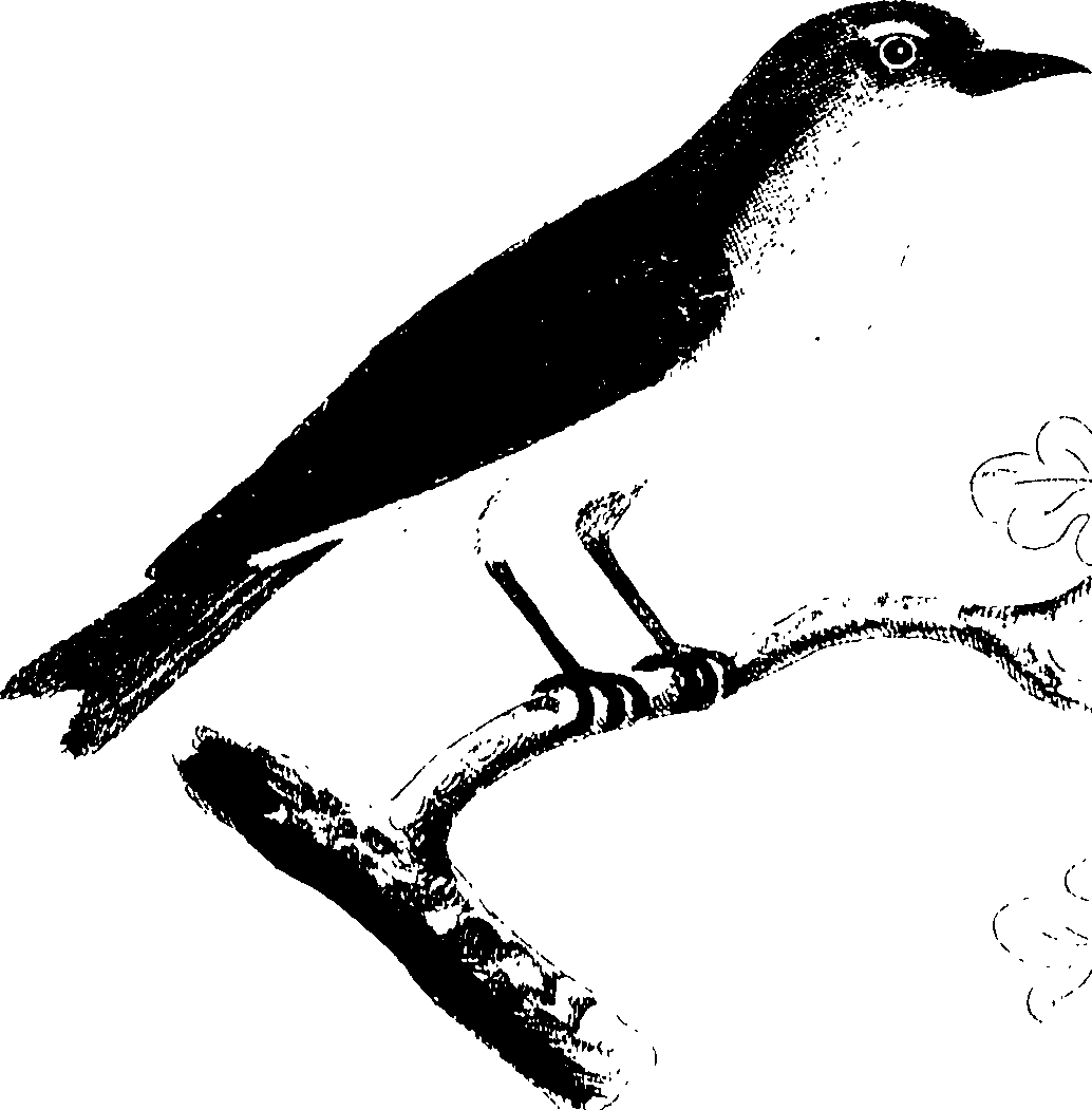 107/107100010201220_0.png