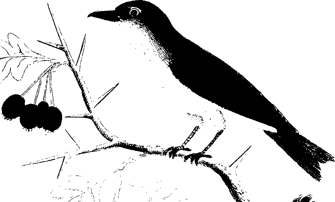 107/107100010201220_1.png