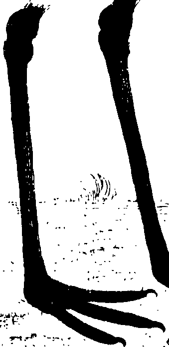 107/107100010201260_0.png