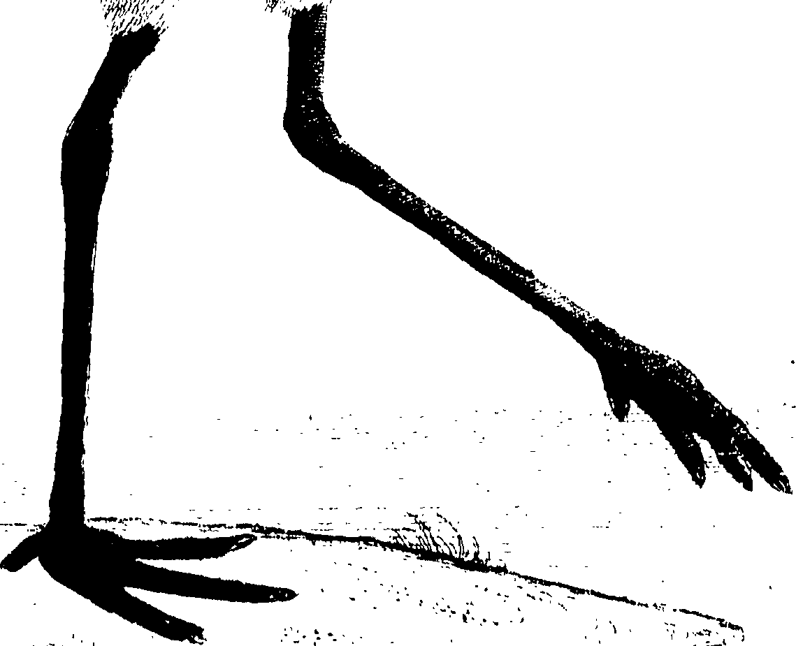 107/107100010201310_0.png
