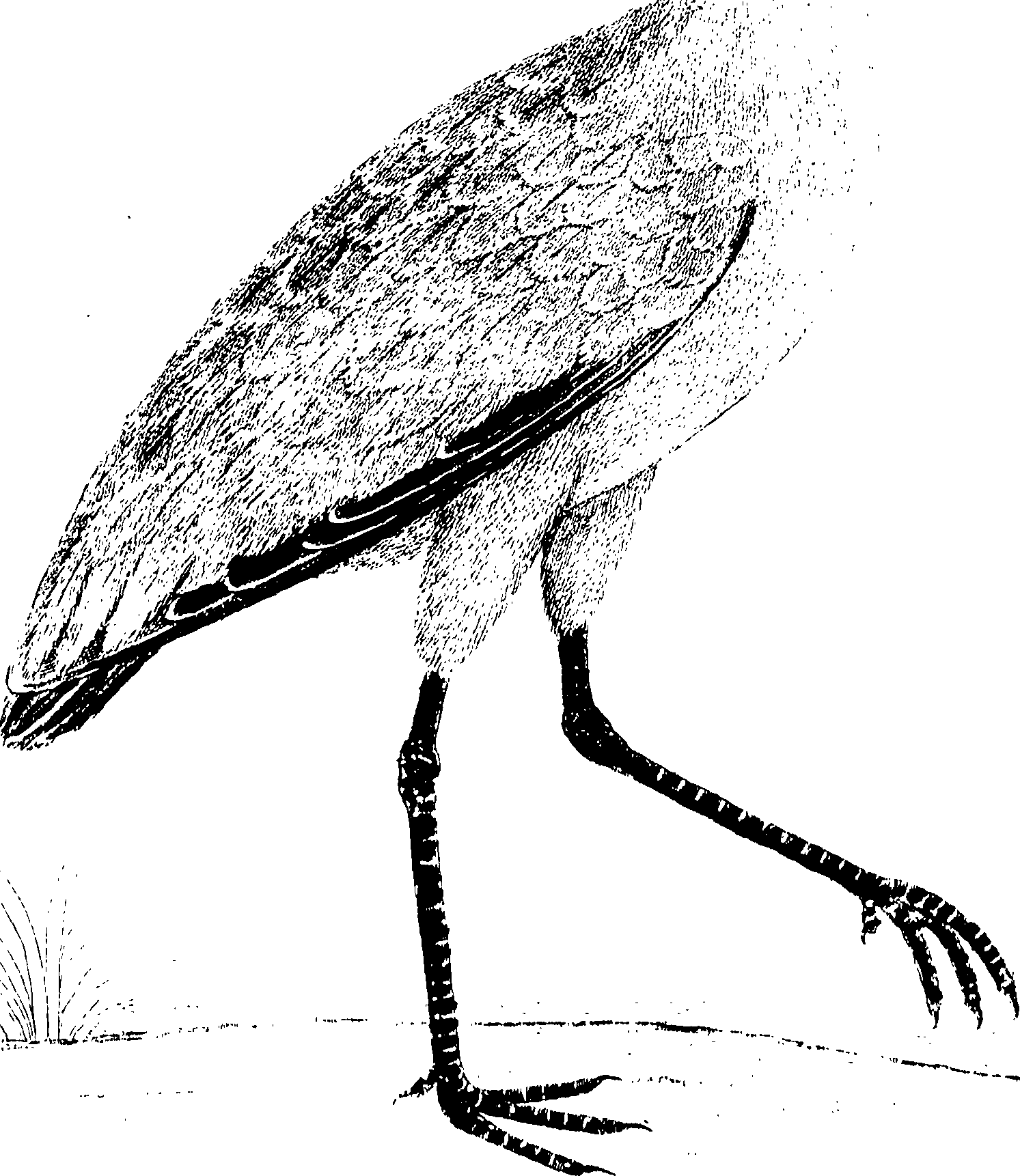 107/107100010201340_0.png
