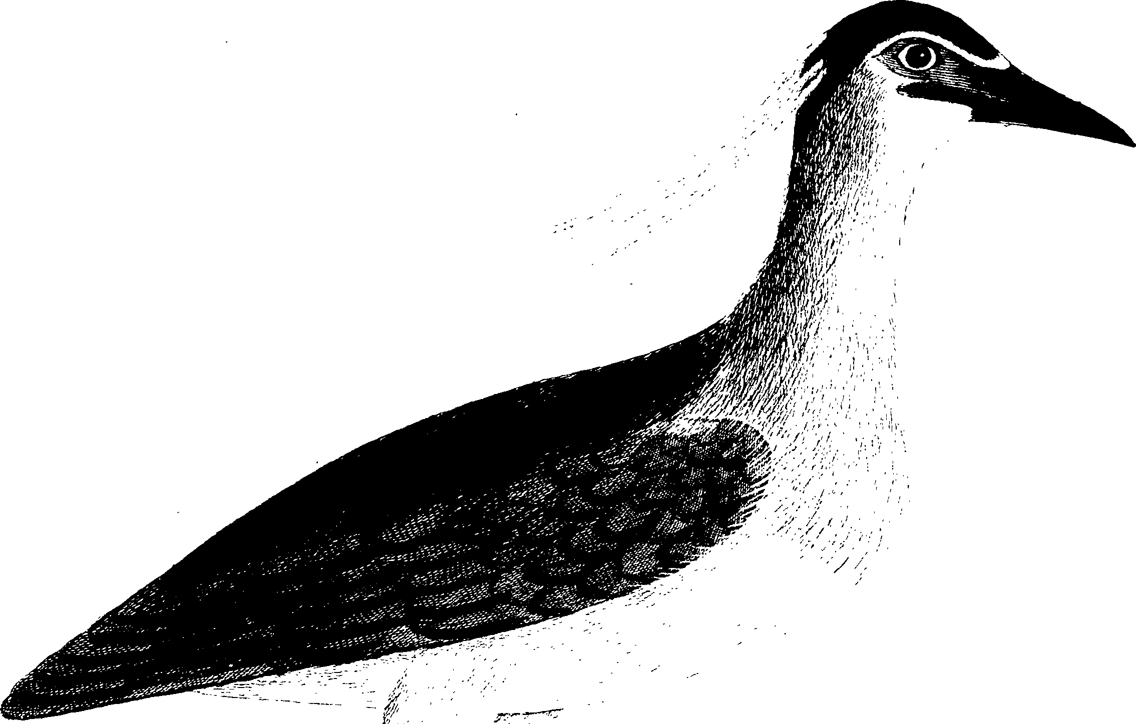107/107100010201380_1.png