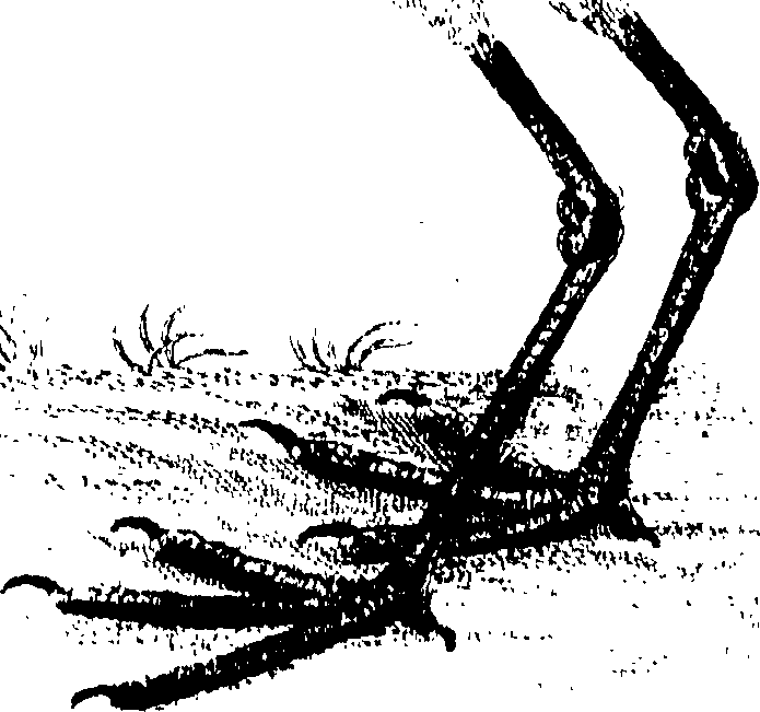 107/107100010201390_0.png