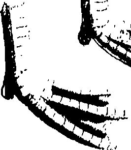 107/107100010201600_0.png