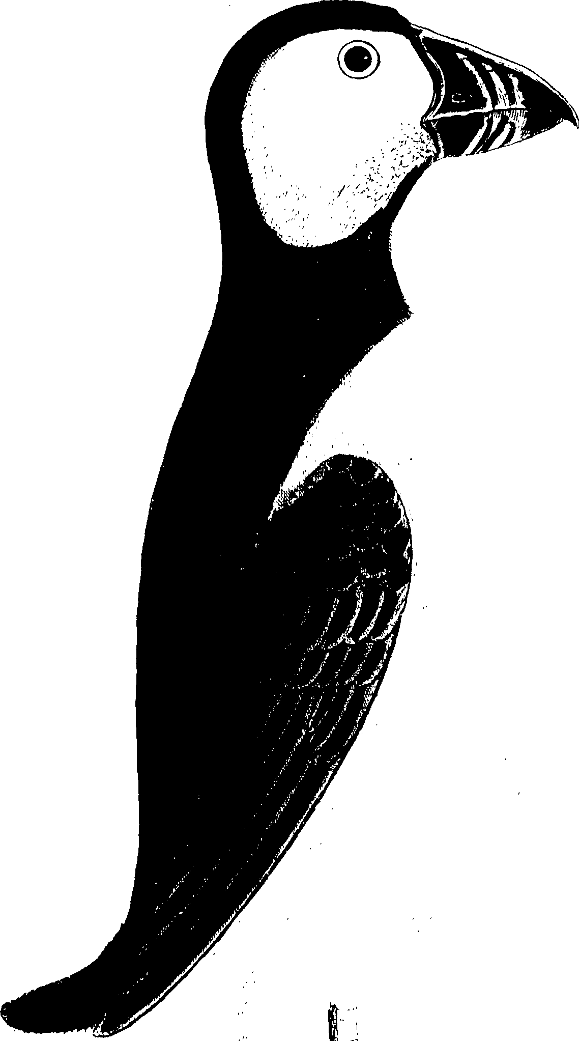 107/107100010201600_1.png