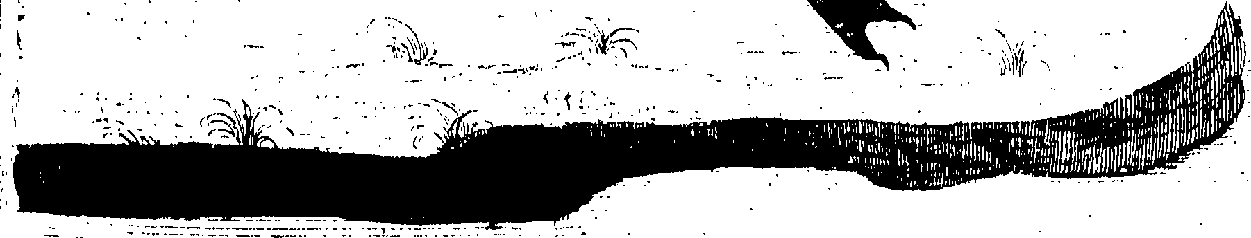 107/107100010201640_0.png