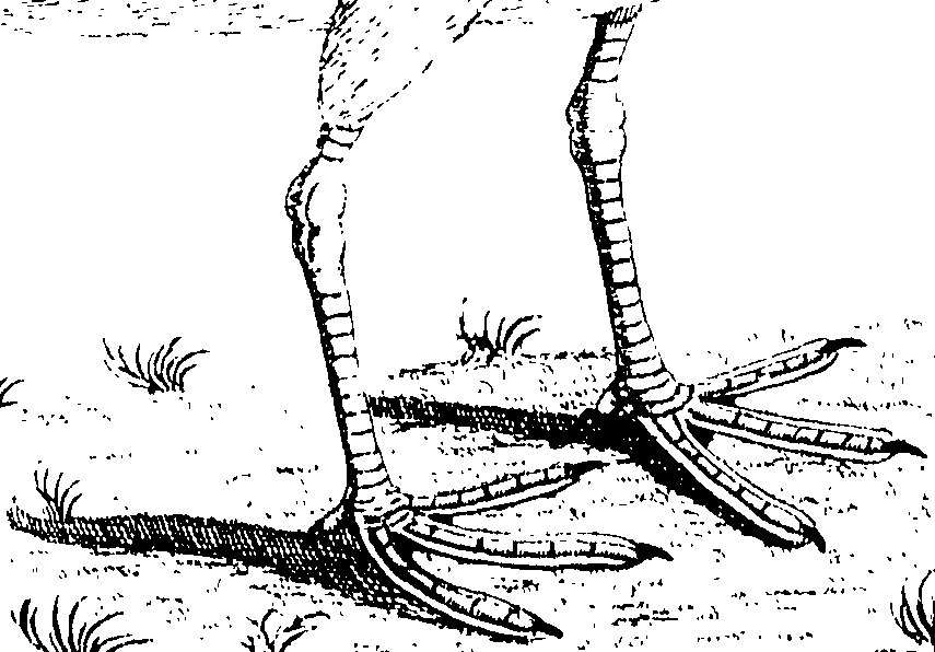 107/107100010201650_0.png