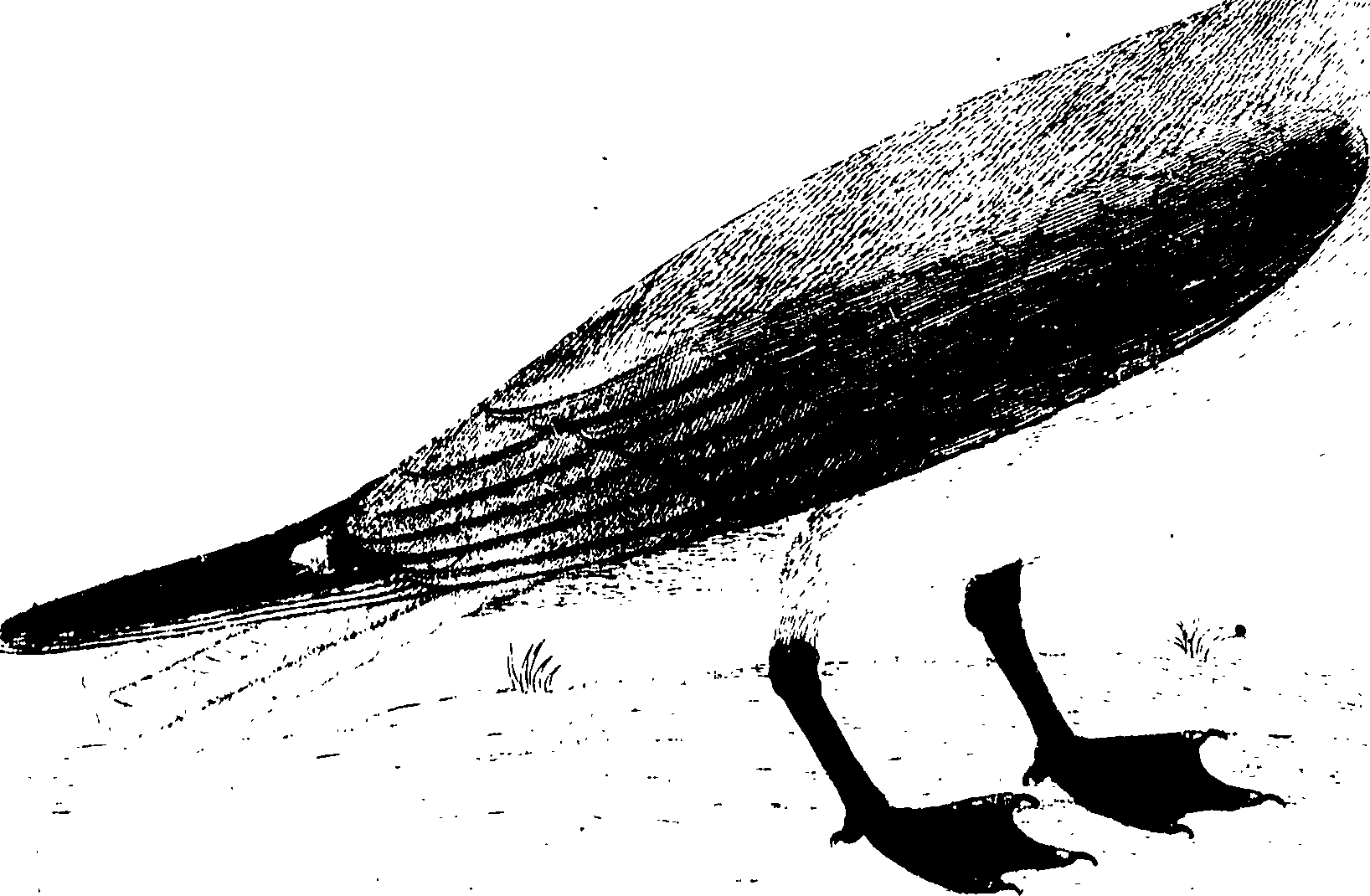 107/107100010201730_0.png
