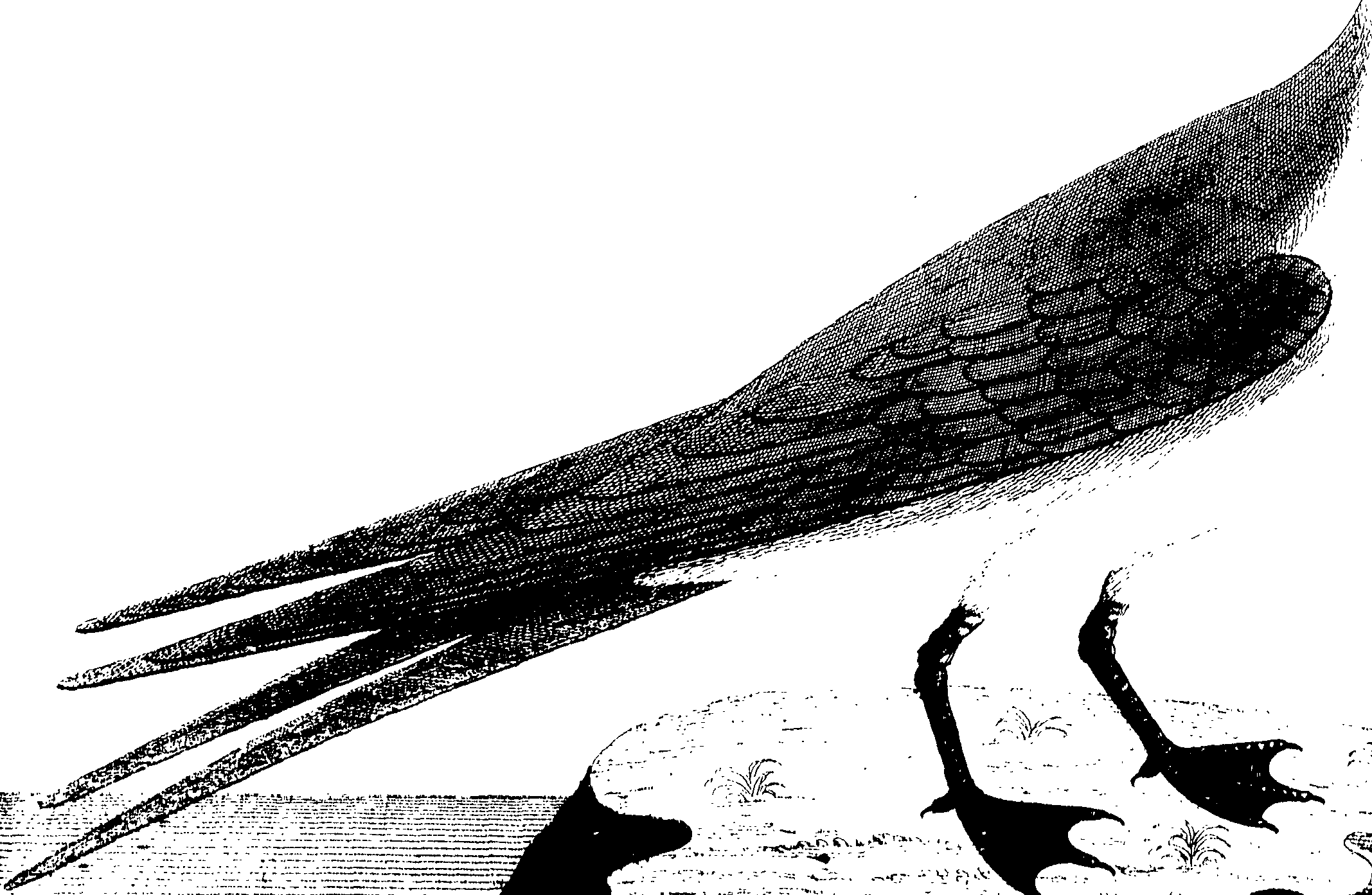 107/107100010201770_0.png