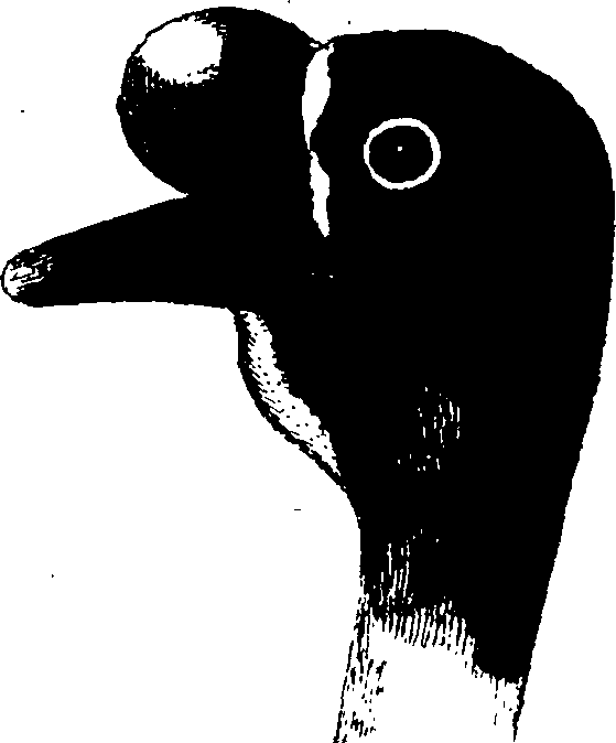 107/107100010201820_1.png