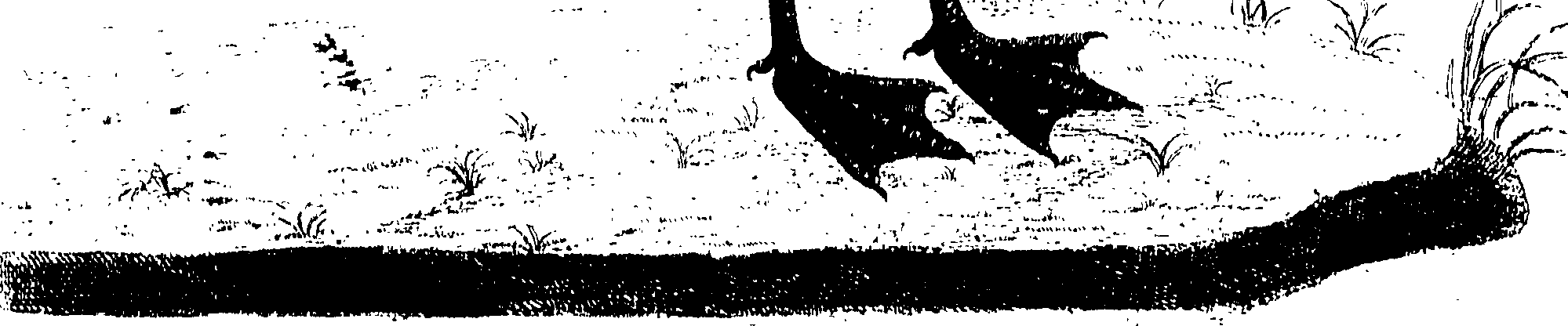 107/107100010201860_0.png