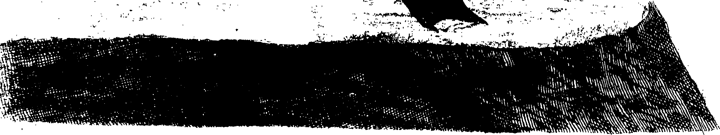 107/107100010201870_0.png