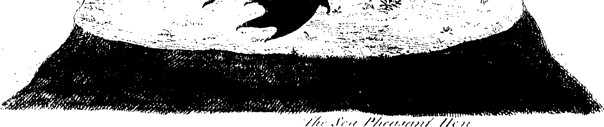 107/107100010201880_0.png